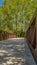 Panorama frame Bridge overlooking luxuriant trees with bright green leaves against blue sky