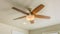 Panorama frame Ceiling fan with wooden five blade design and built in light