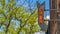 Panorama frame Open arrow sign on a building with vibrant trees and blue sky in the background