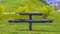 Panorama frame Round picnic table and seats on a lush field beside a road with brown grasses