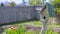 Panorama frame Wooden birdhouse and vibrant green plants at the sunny garden of a home