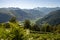 Panorama of the french Pyrenees with ferns