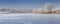 Panorama of frozen pound.