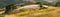 Panorama of golden California hills and mustard