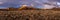 Panorama of Golden Grass and Red Cliffs in Capitol Reef