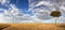 Panorama of the grasslands of the Masai Mara