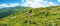 Panorama of grassy alpine meadow in mountains