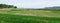Panorama of green fields and meadows in spring