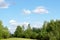 Panorama of a green meadow with grass on the hill among the birch trees.