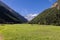 Panorama of green neat Sant Orso meadow and footpath winding along it in Alps gorge, slopes covered with evergreen pine forest