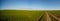 Panorama of green summer field and clear sky