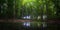 Panorama of green swamp in the forest. Sunny sunset and warm light. Phone photography