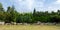 Panorama of green tree and bush with rock decoration in public park garden and blue sky.