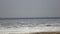 Panorama of the Gulf of Finland with ice in roofing felt of the coast and Anseriformes birds in spring sunny day