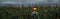 panorama of a halloween pumpkin scarecrow in a wide cornfield at sunset