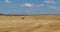 Panorama among harvested rye and wheat fields with Hay bales in summer day with beautiful cirrocumilus clouds
