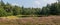 Panorama of heathland, lake and forest