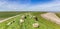 Panorama of a herd of sheep on a dike at the wadden sea in Friesland