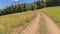 Panorama Hiking trails amid grasses on a mountain in Park City Utah during off season