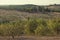 Panorama of the hills of San Gimignano, Tuscany in Italy.