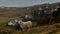 Panorama image with lamb or sheep on grassy cliffs of the Isle of Skye. Scottish Highlands. near rural houses and the coast