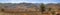 Panorama of the invading forest burned trees, dry cracked soil.Nature and environment Concept