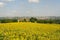 Panorama of Jesi (Marches, Italy) and sunflowers
