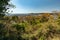 Panorama of Kamakura city. Japanese landscape. View of Mount Fuji. View from the park to Kamakura