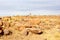 Panorama kokerboom Giants Playground, Keetmanshoop, Namibia