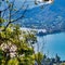 Panorama of lake Annecy from forest