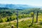 Panorama of Lake Maggiore from Mottarone, Stresa, Piedmont, Ital