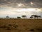Panorama lake Naivasha with zebras