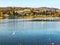 Panorama lake seagulls lake flight nature water sky