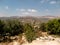 Panorama land around Sebastia in Samaria, Israel. Olive trees an