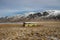 Panorama landscape of abandoned forgotten remote rural idyllic isolated magic bus schoolbus in Hunavatn Northern Iceland