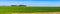 Panorama landscape with a canola field