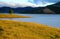 Panorama landscape, Dalat, Da Lat, Vietnam, lake, grass