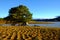 Panorama landscape, Dalat, Da Lat, Vietnam, lake, grass