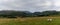 Panorama landscape of the English Lake District with many sheep grazing i nthe fields