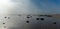 Panorama landscape of fog lifting over an endless wadden sea beach at low tide