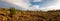 Panorama landscape of heathland and moorland in the Netherlands