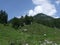 Panorama landscape of the mountains in austria