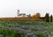 Panorama landscape with a picturesque white country church surrounded by golden vineyard pinot noir grapevines and a purple phacel