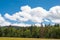 A Panorama landscape view over pine tree and clouds black forest Germany