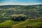 Panorama of langhe region in summer in northerni Italy