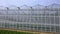 Panorama of a large glass greenhouse. Exterior modern greenhouses. Appearance of the glass new greenhouse