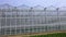 Panorama of a large glass greenhouse. Exterior modern greenhouses. Appearance of the glass new greenhouse