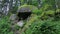 Panorama large rocks on the hillside. Altai Krai.