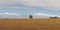 Panorama of a lone native Australian tree standing in the middle of open rural farmland in country Victoria, under a blue sky