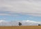 Panorama of a lone native Australian tree standing in the middle of open rural farmland in country Victoria, under a blue sky